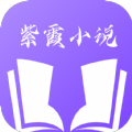 紫霞小说 ICON