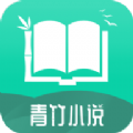 青竹小说 ICON