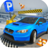 Parking Drive 3D ICON