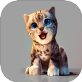 真实小猫3D模拟 ICON