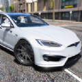 S型特斯拉电动车 ICON